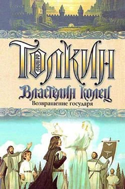 Джон Толкиен Возвращение государя обложка книги