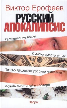 Виктор Ерофеев Русский апокалипсис обложка книги