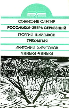 Георгий Шайдаков Трехлапая обложка книги