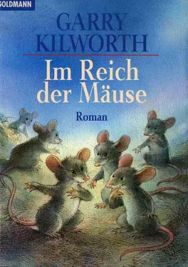 Garry Kilworth Im Reich der Mäuse обложка книги