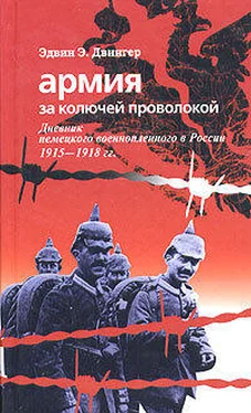 Эдвин Двингер Армия за колючей проволокой. Дневник немецкого военнопленного в России 1915-1918 гг. обложка книги