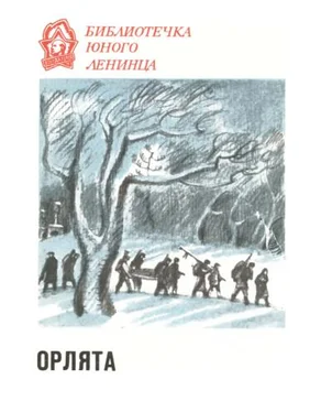 Б. Раевский Орлята обложка книги