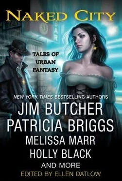 Jim Butcher Naked City: Tales of Urban Fantasy обложка книги