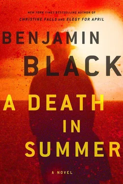 Benjamin Black A Death in Summer обложка книги