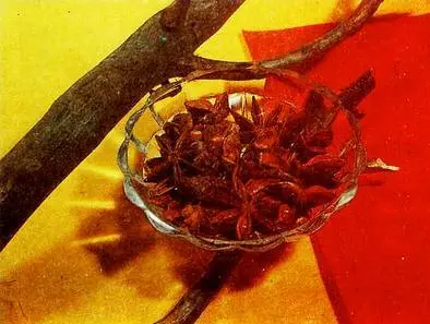 Бадьян Гвоздика Имбирь Ваниль - фото 4