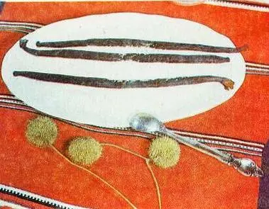 Пряности - фото 7