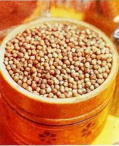 Кориандр семена Скорцонер отрастающий Гравилат городской - фото 10