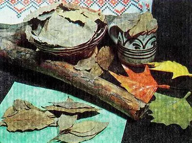 Пряности - фото 24