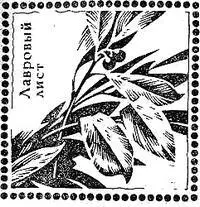 Рецепты Кулинарных изделий с использованием пряностей Салаты Салаты - фото 56