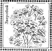 Календарь заготовки и использования пряностей ЯнварьСогласно вкусам и - фото 59