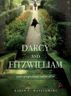 Karen Wasylowski Darcy and Fitzwilliam: A Tale of a Gentleman and an Officer обложка книги