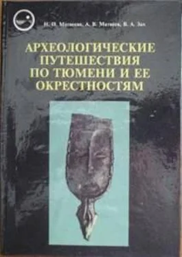 Наталья Матвеева Археологические путешествия по Тюмени и ее окрестностям обложка книги