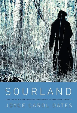 Joyce Oates Sourland обложка книги