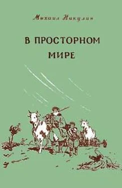 Михаил Никулин В просторном мире обложка книги