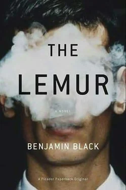 Benjamin Black The Lemur обложка книги