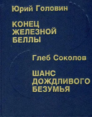 Глеб Соколов Шанс дождливого безумия обложка книги