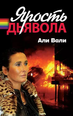 Али Вали Ярость дьявола обложка книги