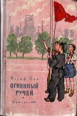 Иосиф Дик Огненный ручей обложка книги