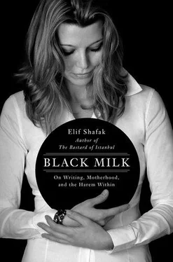 Elif Shafak Black Milk обложка книги