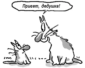 Надо заметить коты идеальные путешественники во времени Они ведь не умеют - фото 55
