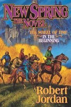 Robert Jordan New Spring: The Novel обложка книги