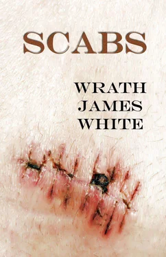 Wrath White Scabs обложка книги