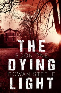Rowan Steele The Dying Light обложка книги