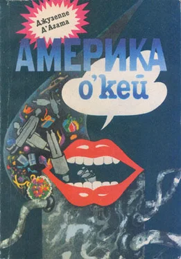 Джузеппе Д’Агата Америка о’кей обложка книги