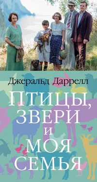 Джеральд Даррелл Птицы, звери и моя семья обложка книги