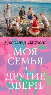 Джеральд Даррелл Моя семья и другие звери обложка книги