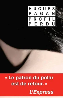 Hugues Pagan Profil perdu обложка книги