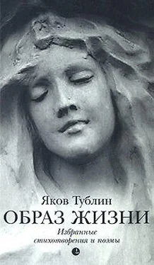 Яков Тублин Образ жизни обложка книги