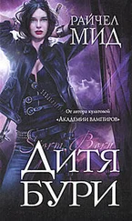 Райчел Мид - Дитя бури