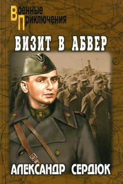 Александр Сердюк Визит в абвер обложка книги