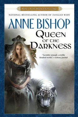 Anne Bishop Queen of Darkness обложка книги