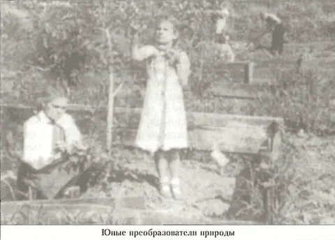 Таких урожаев ни в Союзе им на Сахалине никто тогда не получал но людям - фото 93