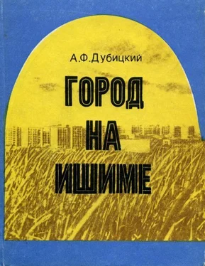 Андрей Дубицкий Город на Ишиме обложка книги