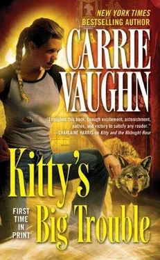 Carrie Vaughn Kitty's Big Trouble обложка книги