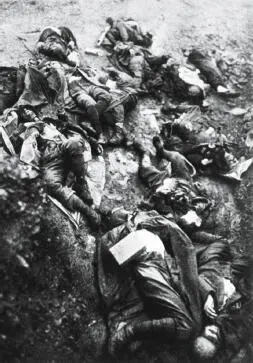 A few of the victims of the Isonzo battles Was their sacrifice in vain - фото 42