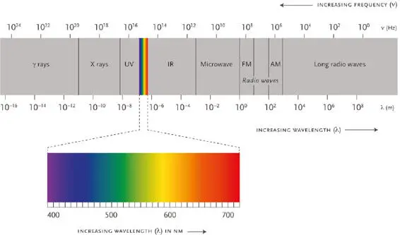 Humans can see only a minuscule part of the electromagnetic spectrum The - фото 47