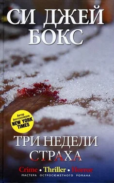 Си Бокс Три недели страха обложка книги