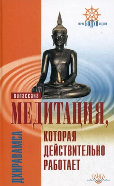 Дхиравамса Медитация, которая действительно работает обложка книги
