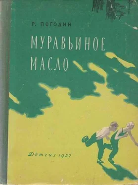 Радий Погодин Муравьиное масло обложка книги