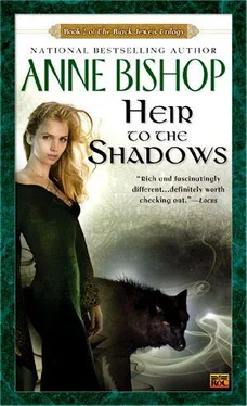 Anne Bishop Heir to the Shadows обложка книги