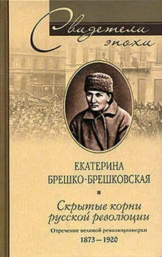 Екатерина Брешко-Брешковская Скрытые корни русской революции. Отречение великой революционерки. 1873–1920 обложка книги