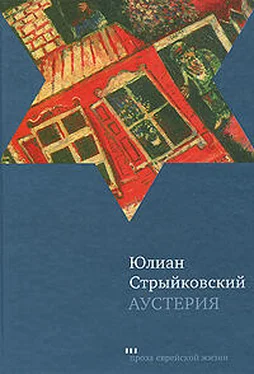 Юлиан Стрыйковский Аустерия обложка книги