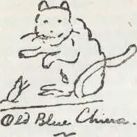 В первую очередь разумеется мою этрусскую слезницу Я зарисовал ее здесь для - фото 5