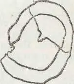 В первую очередь разумеется мою этрусскую слезницу Я зарисовал ее здесь для - фото 6