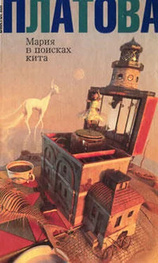 Виктория Платова Мария в поисках кита обложка книги