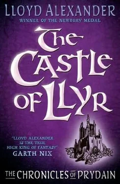 Lloyd Alexander The Castle of Llyr обложка книги